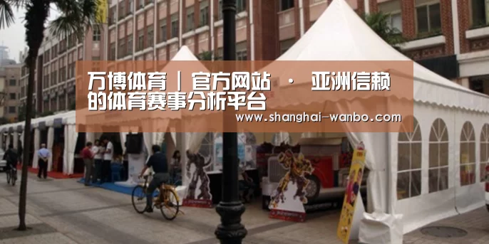 案例标题九