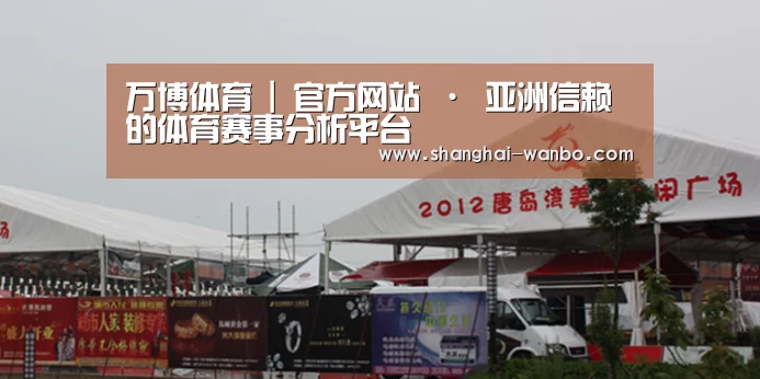 案例标题十